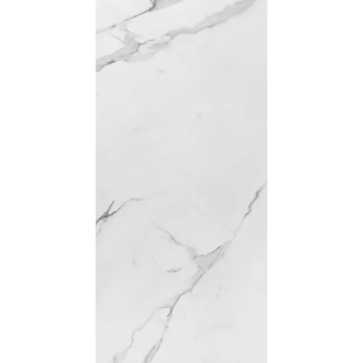 Porcelanato Eliane Place Acetinado 60x120cm Retificado